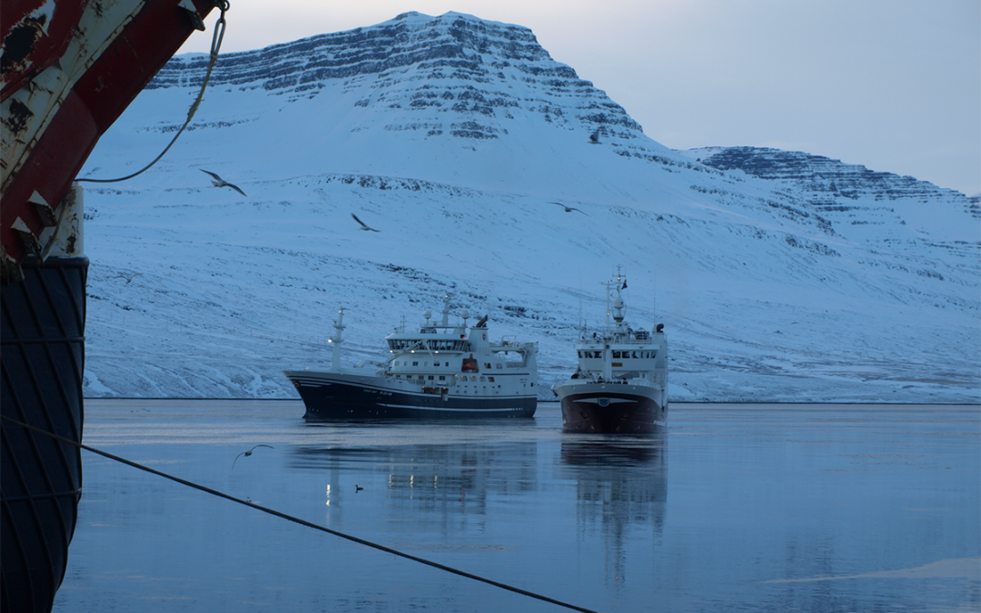 Norskir bátar með 1600 tonn í dag