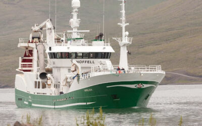 Hoffell á landleið með 1.000 tonn.