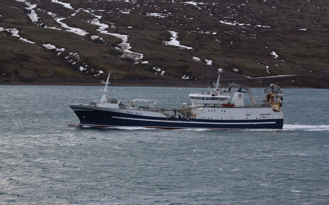 Tasiilaq kom inn í kvöld með 800 tonn af Loðnu.