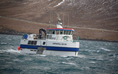 Sandfell og Hafrafell hafa fengið 343 tonn í október, komu með 40 tonn í gær.