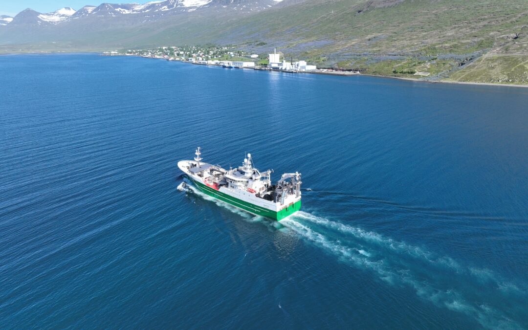 Hoffell á landleið með 2.250 tonn af Kolmunna.